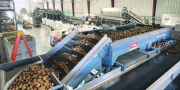 LEADING US POTATO PROCESSOR CHOOSES TONG FOR ADVANCED GRADING AND WASHING
