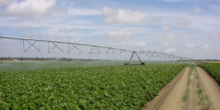 Overhead Irrigation