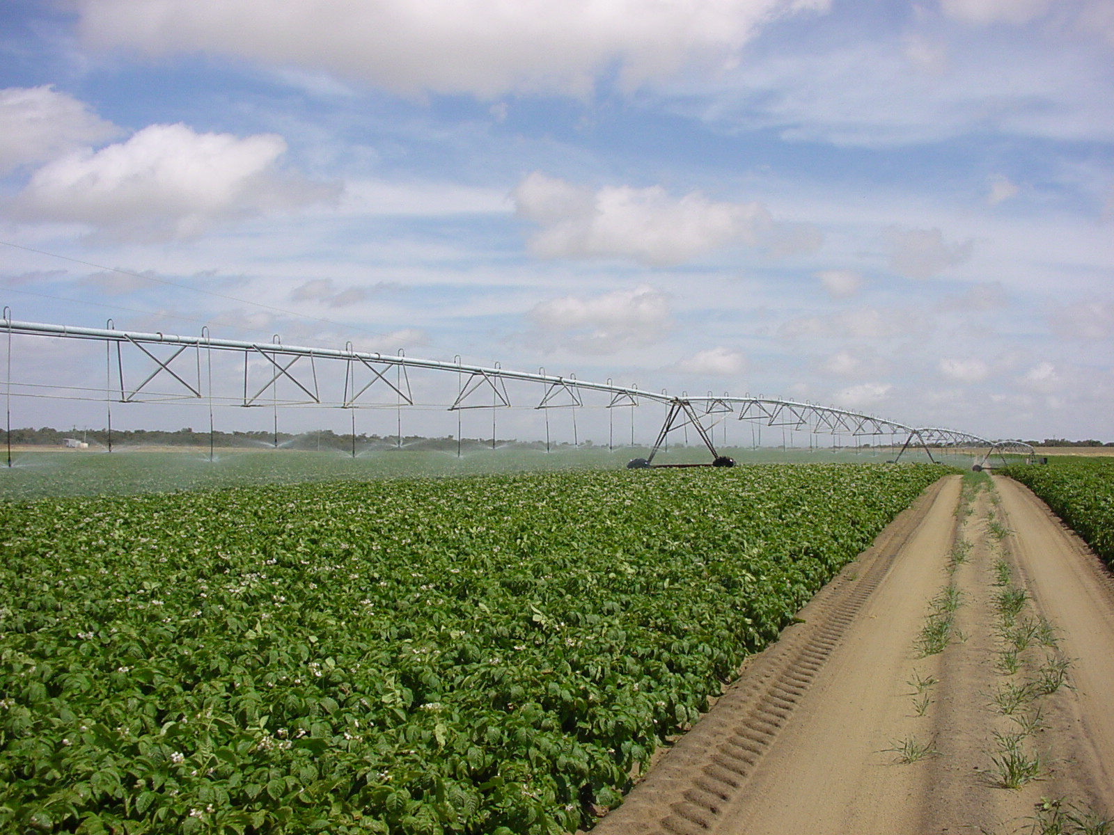 centre pivot 0