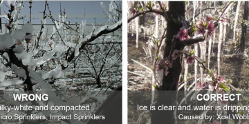 How to Protect Crops from Frost Damage Using Sprinklers
