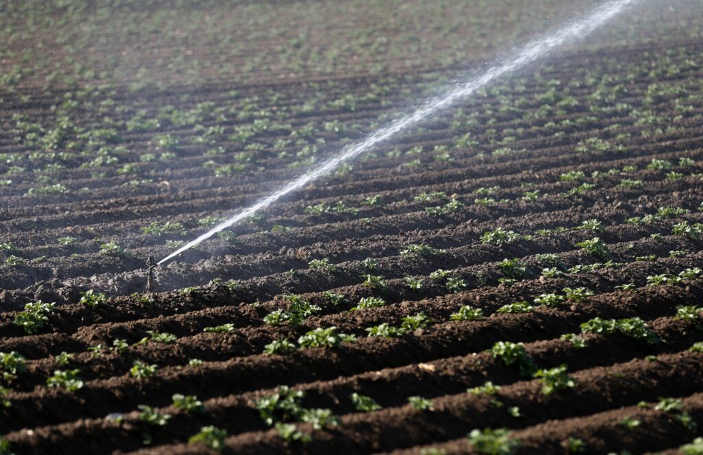 irrigación
