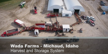 Wada Farms sees good quality, strong supplies