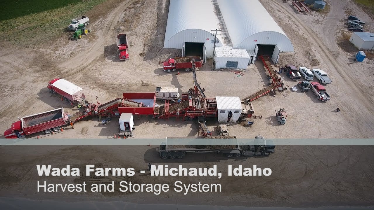 Wada Farms sees good quality, strong supplies 11 Wada Farms sees good quality, strong supplies