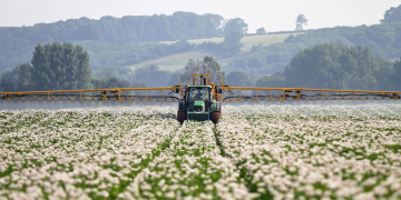 Micronutrients for stress reduction in potatoes — and for growers
