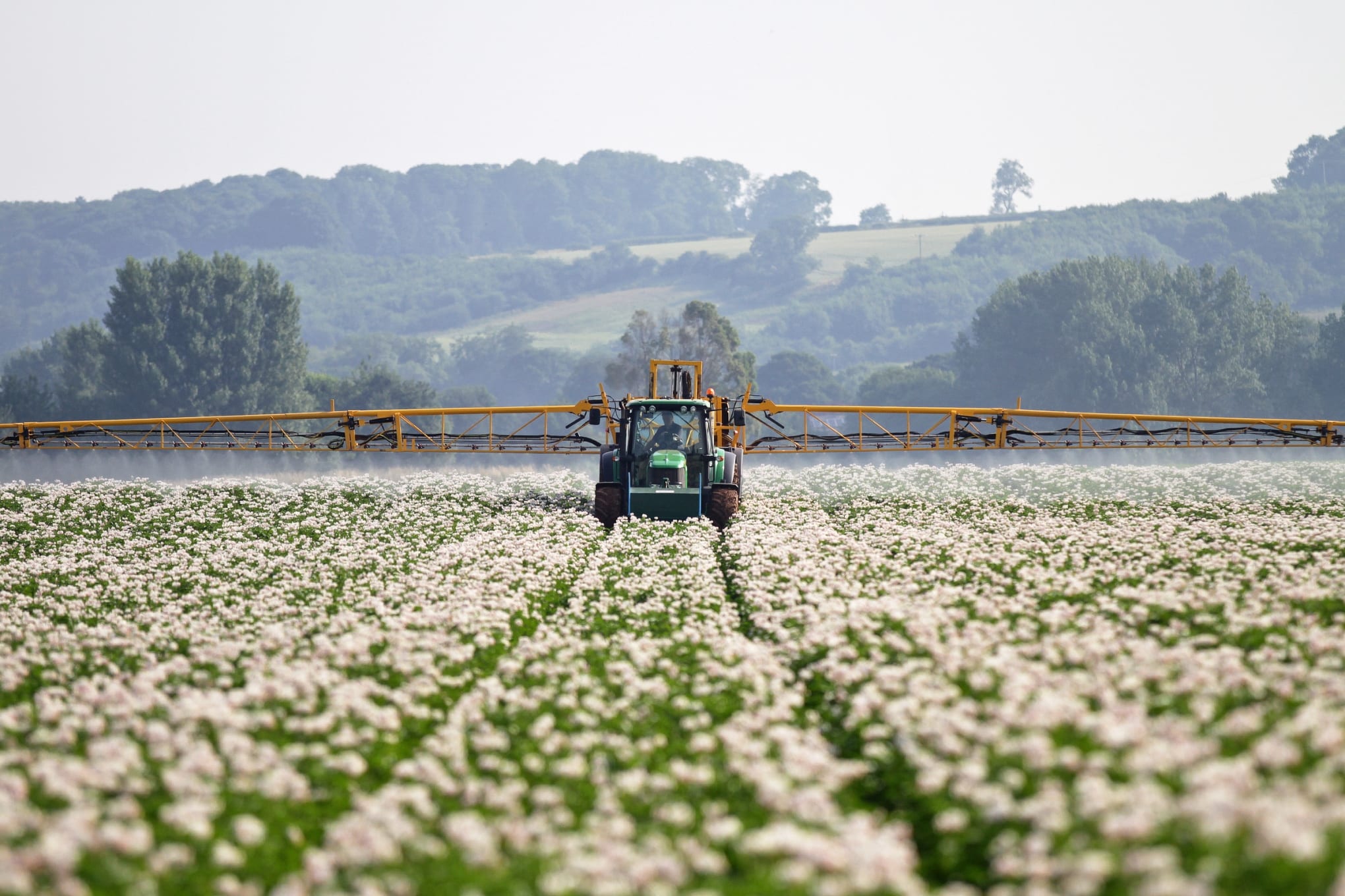 Micronutrients for stress reduction in potatoes — and for growers