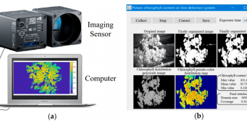 Portable device for fast detection of plant stress