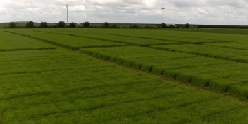 Stimulate and control soil life as a grower