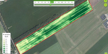 Water and nitrogen status in potatoes –   drones and satellites imagery