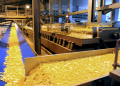 Belgian potato processing industry