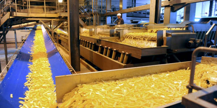 Belgian potato processing industry