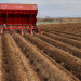 ridge crops