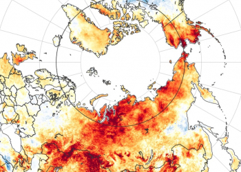 climate crisis