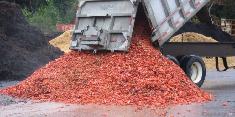 Shellfish To Fight Potato Pest