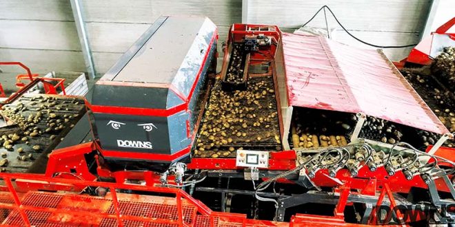 DOWNS INTRODUCES OPTICAL SORTER FOR UNWASHED POTATOES 15 DOWNS INTRODUCES OPTICAL SORTER FOR UNWASHED POTATOES