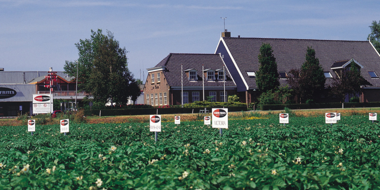 Farm Frites