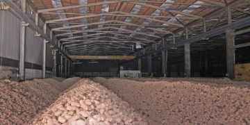 Maybe sow 15% fewer potatoes in Castile-Leon in 2021?