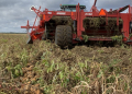 Reducing Tillage