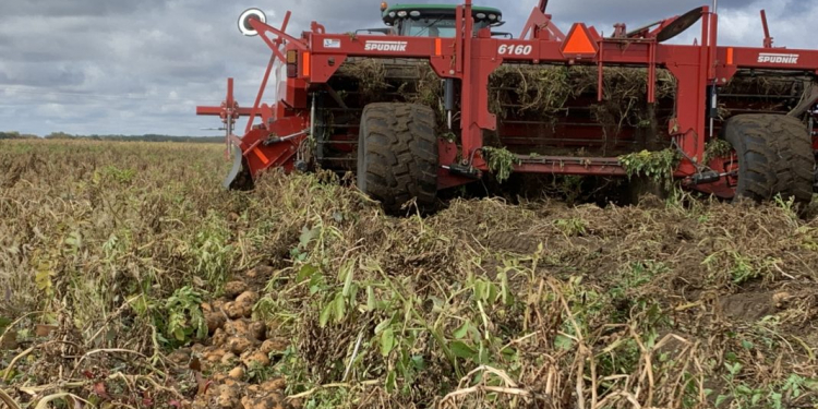 Reducing Tillage