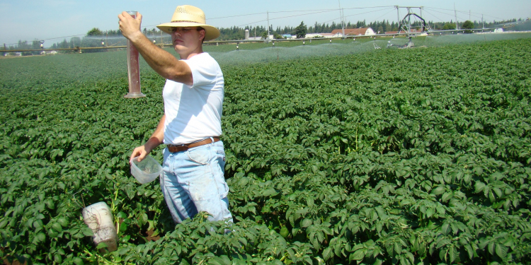 Launch irrigation management