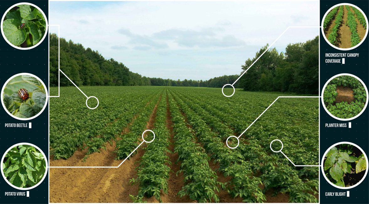 How digitization is moving Indian agriculture in the wake of COVID-19 13 Indian Agriculture