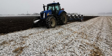 potato acreage plans