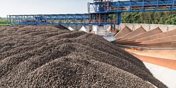 Potato Starch Manufacturer Avebe says annual campaign is halfway