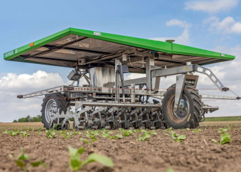 sowing and weeding robot