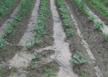 Water soil erosion