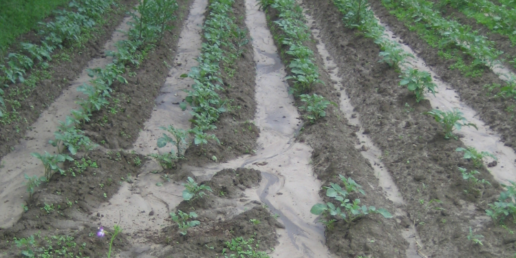 Water soil erosion