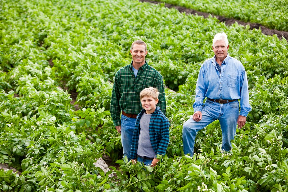 Example of longevity of family farms 8 arable farm