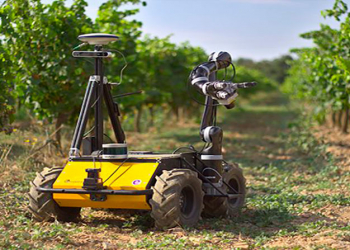 Field robot