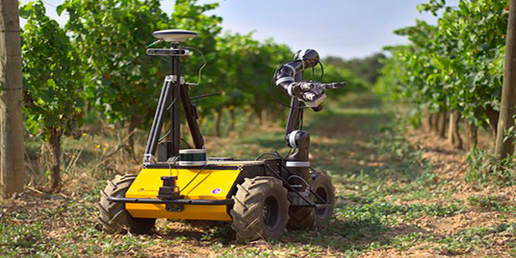 Field robot