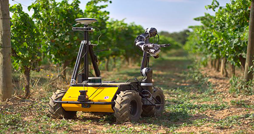 Field robot determines the right time for irrigation 31 Field robot