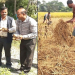 innovative method to potato growing