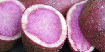 Red potato pulp: an innovative ingredient for gluten-free bread