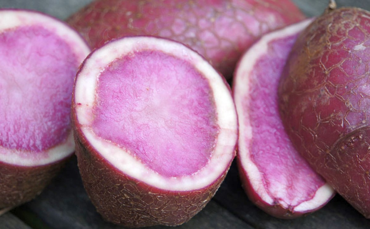 Red potato pulp: an innovative ingredient for gluten-free bread 41 Red potato pulp: an innovative ingredient for gluten-free bread