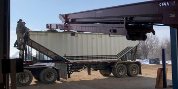 Northern vigor of Norbest Farms