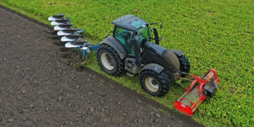 cover crops potato .