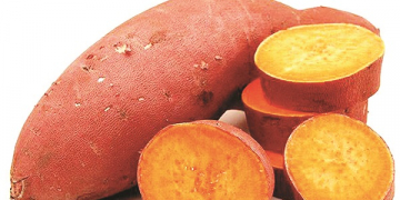 Scaling up vitamin A-rich sweet potato