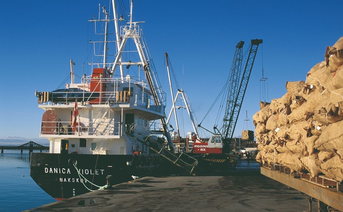 Morocco registers 3 U.S. potato varieties 36 Exports to Morocco