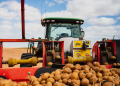 Poland Potato planter