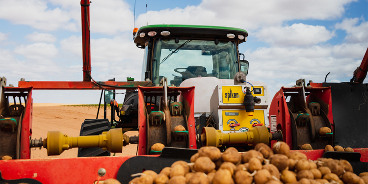 Poland Potato planter