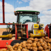 Poland Potato planter