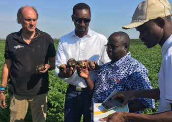 Netherlands in local seed propagation