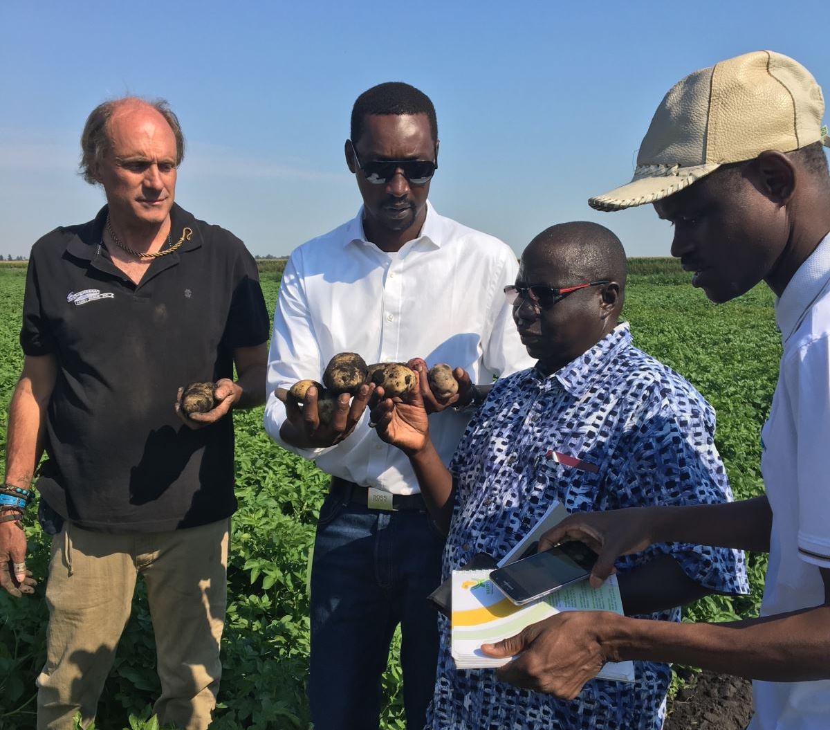 Netherlands in local seed propagation