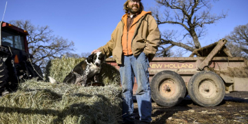 Doing as a part-time business – successful are farmers?