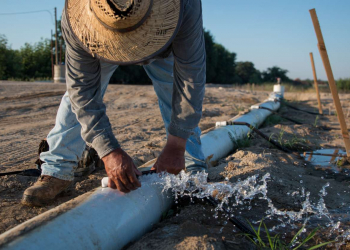 india irrigation