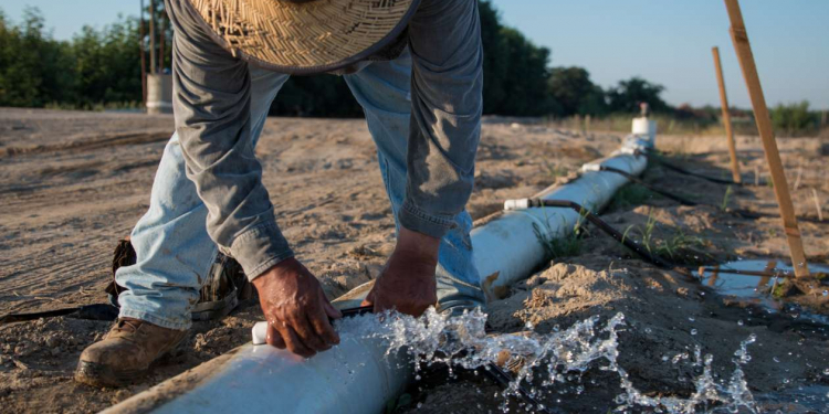 india irrigation