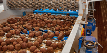 “I expect – all potatoes to be placed by end of season”