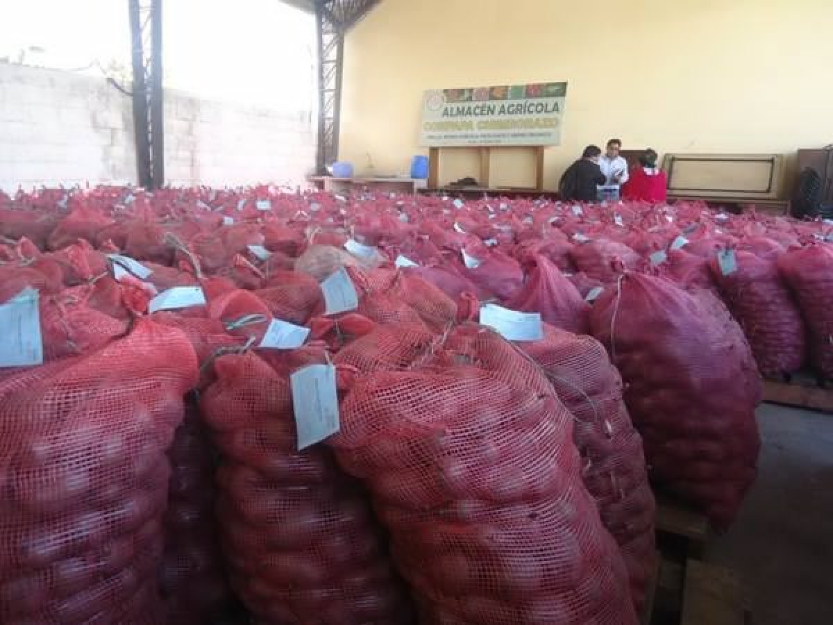 Ecuador: Comann riochdairean a’ fosgladh ionad glanaidh is seòrsachaidh buntàta 7 Ecuador: Comann riochdairean a ’fosgladh plannt glanaidh buntàta agus a sheòrsachadh
